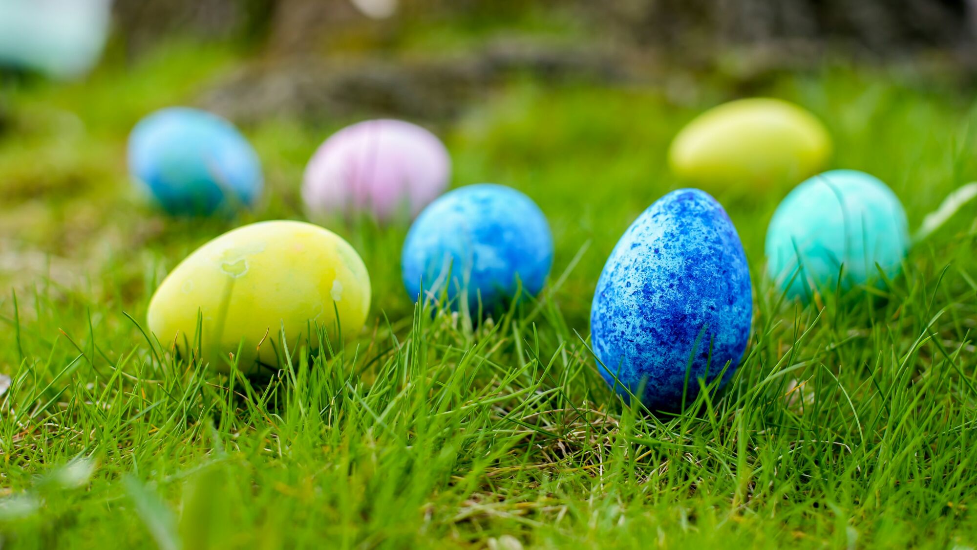 Easter Egg Hunt