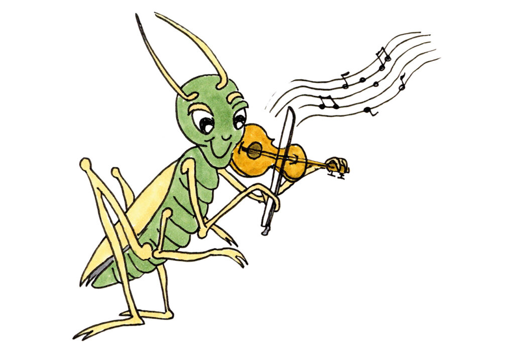 NatureSoundLab : la musique des grillons
