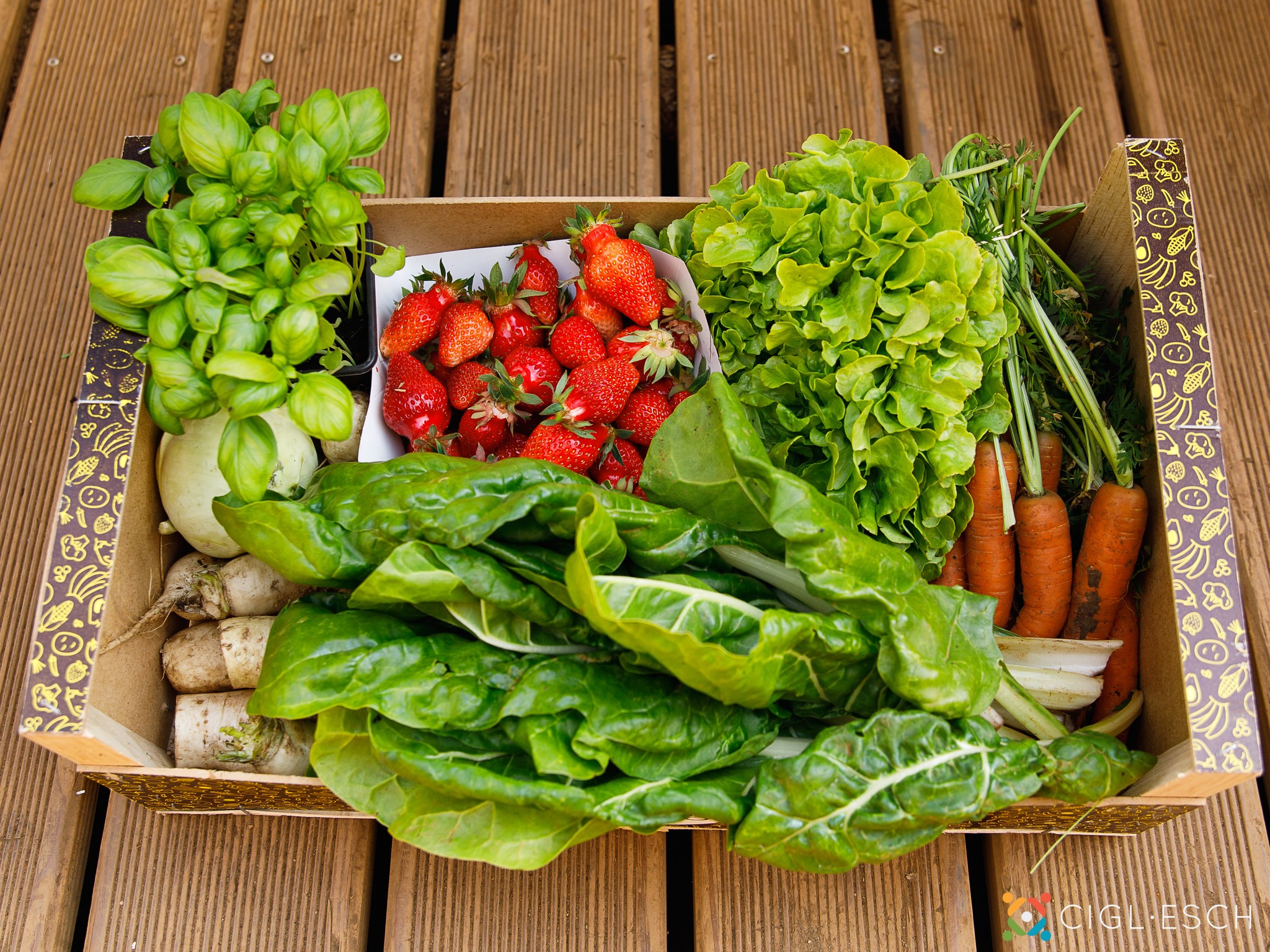 Journée de récolte au jardin