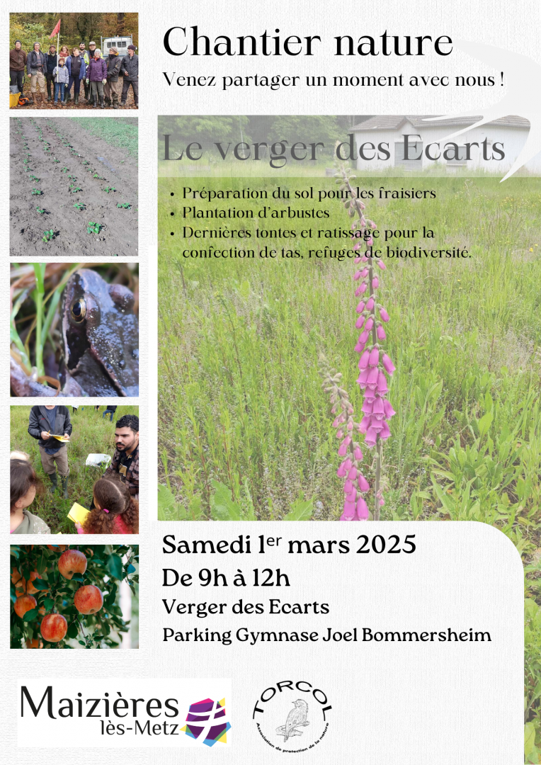 Chantier nature avec Torcol