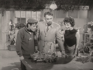 The Little Shop of Horrors (Comedy Classics)