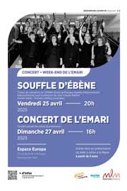 Annual Concert of EMARI