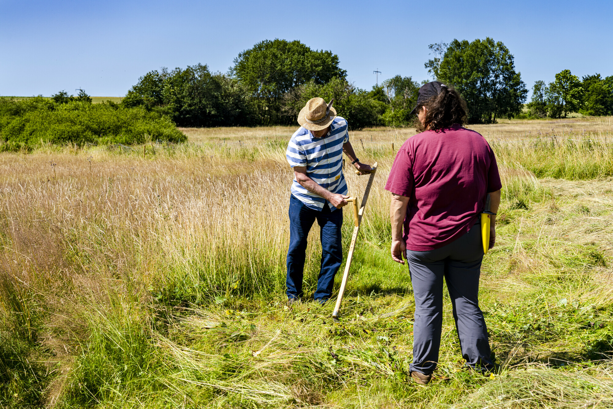 The Rebirth of the Scythe – Common Mowing Workshop of the Our and Haute-Sûre Nature Parks
