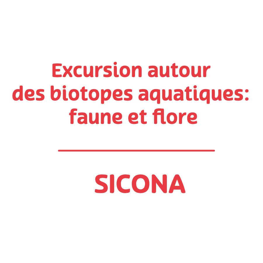 Excursion around aquatic biotopes: fauna and flora