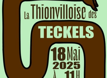 La Thionvillioise des teckels