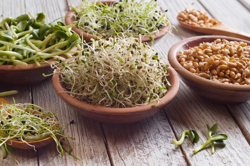 Vegetarian cooking workshops "Sprouted seeds and young shoots"