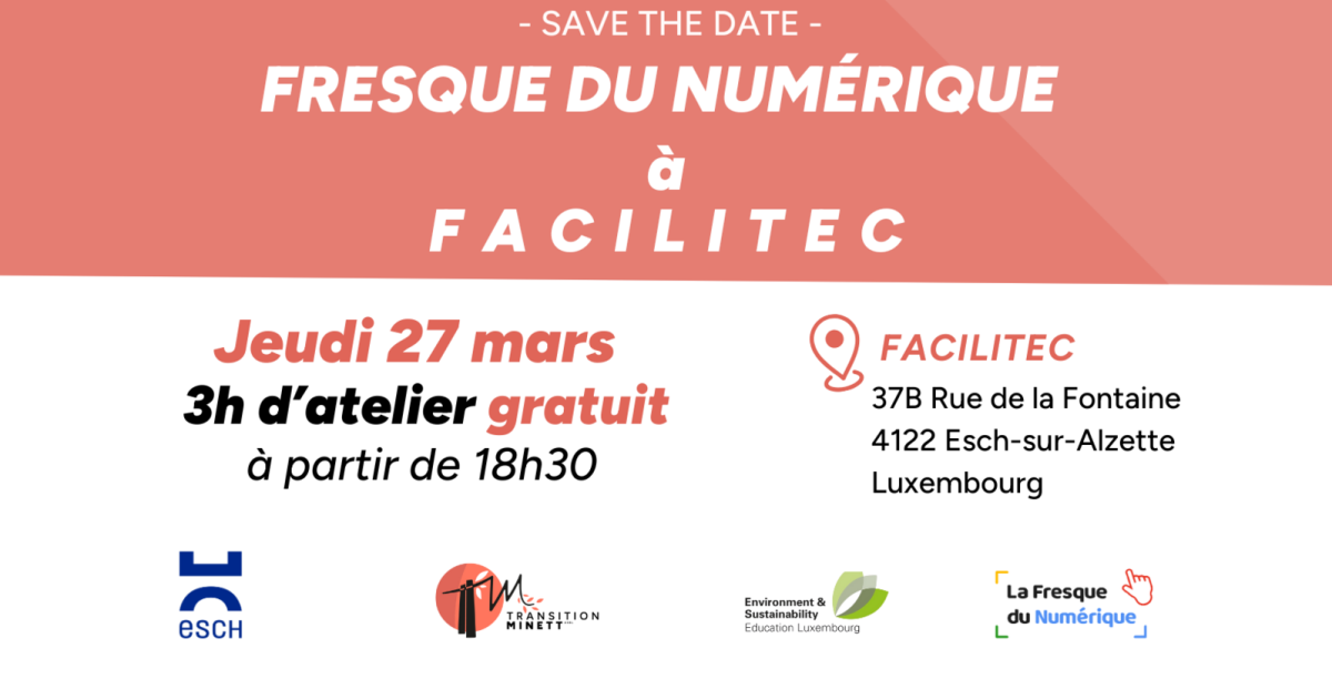 Fresque du numérique à FACILITEC