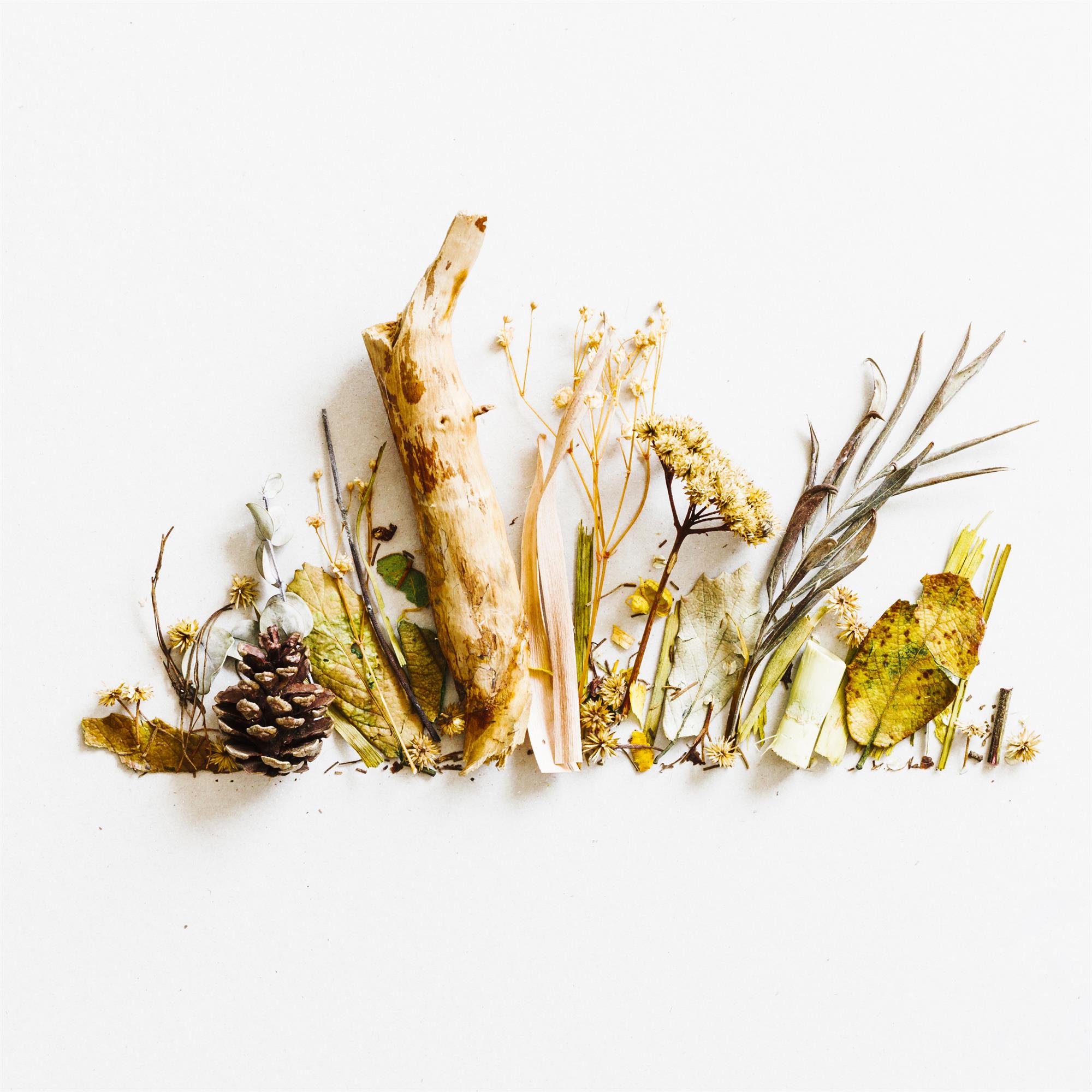 Create with Nature