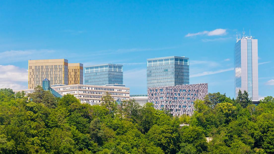 Guided tours in Kuebebierg