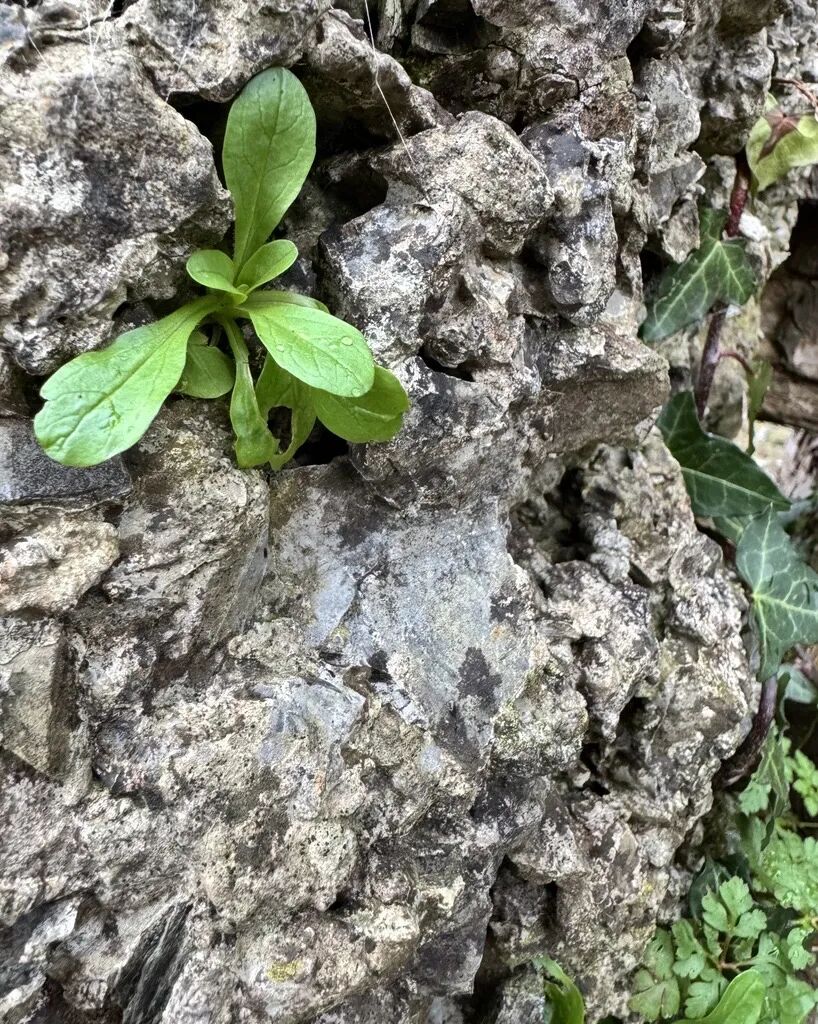 Cracks of Potential