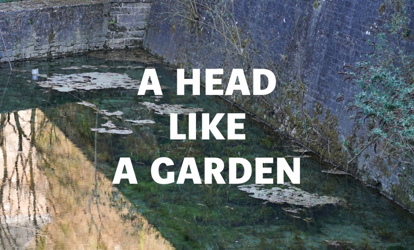 Poetic Walks with Marco Godinho
