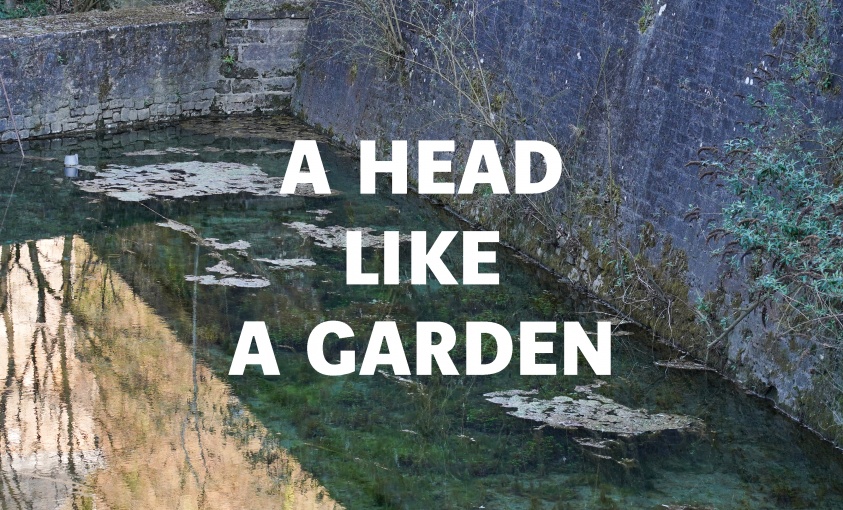 Opening: Head like a garden