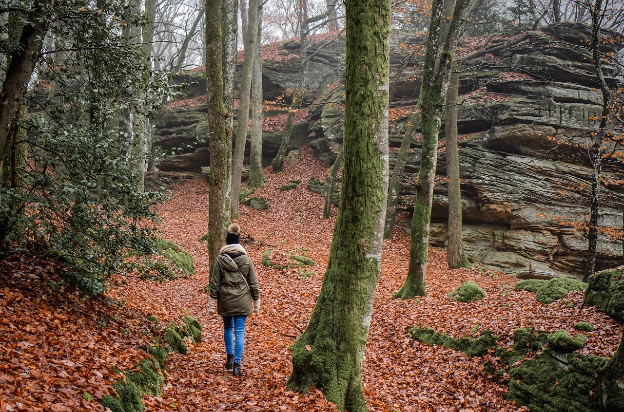 International Popular Walk