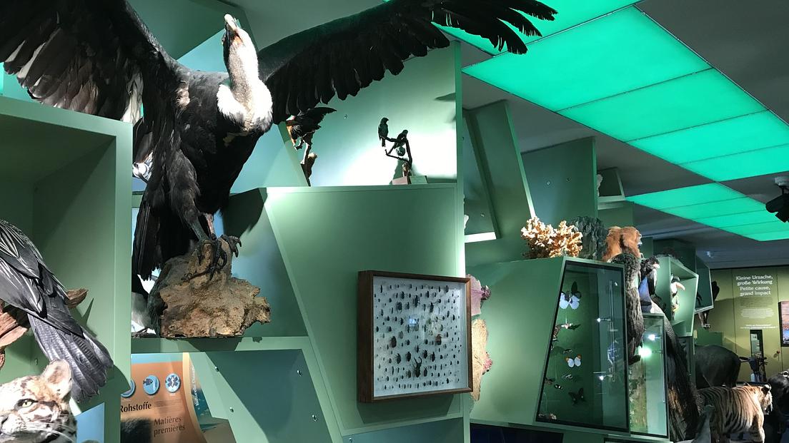 Guided tours of the permanent exhibition