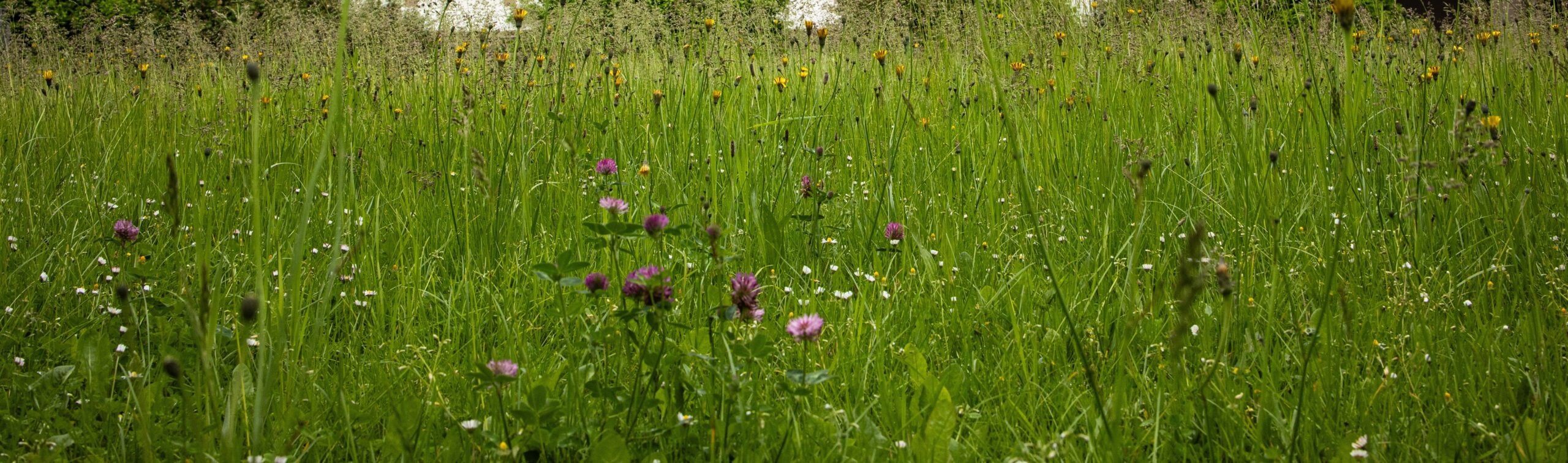 'Méi net am Mee' at the Our Natural Park