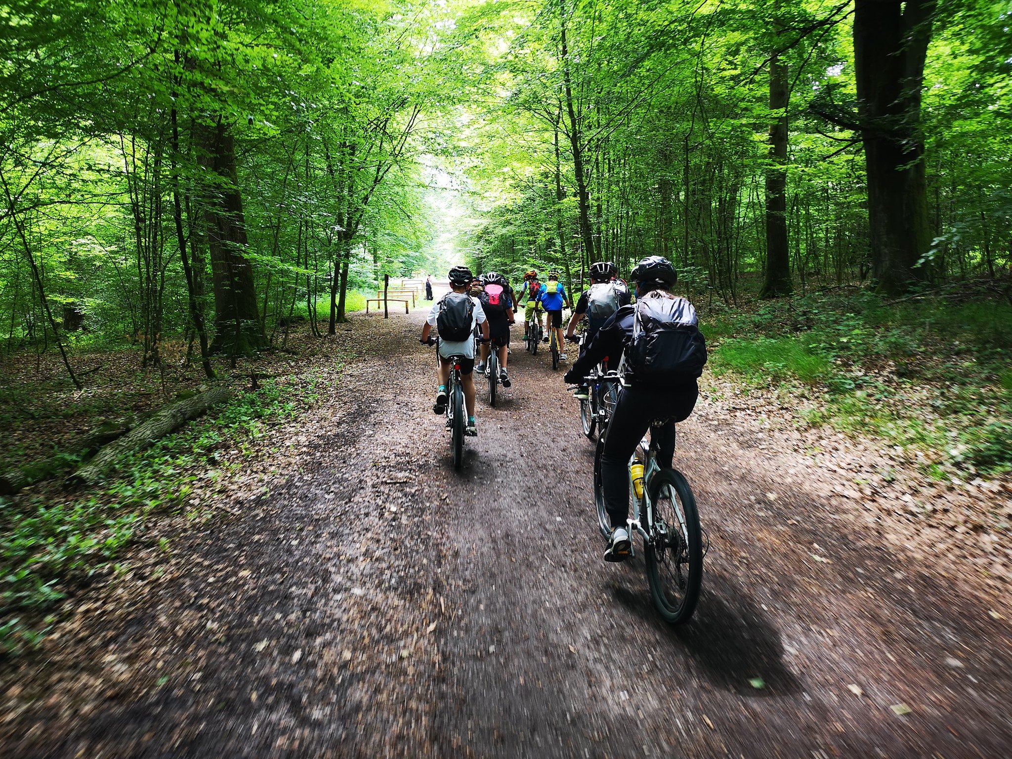 Mountain Bike Tour & 1900 Exemplary Train