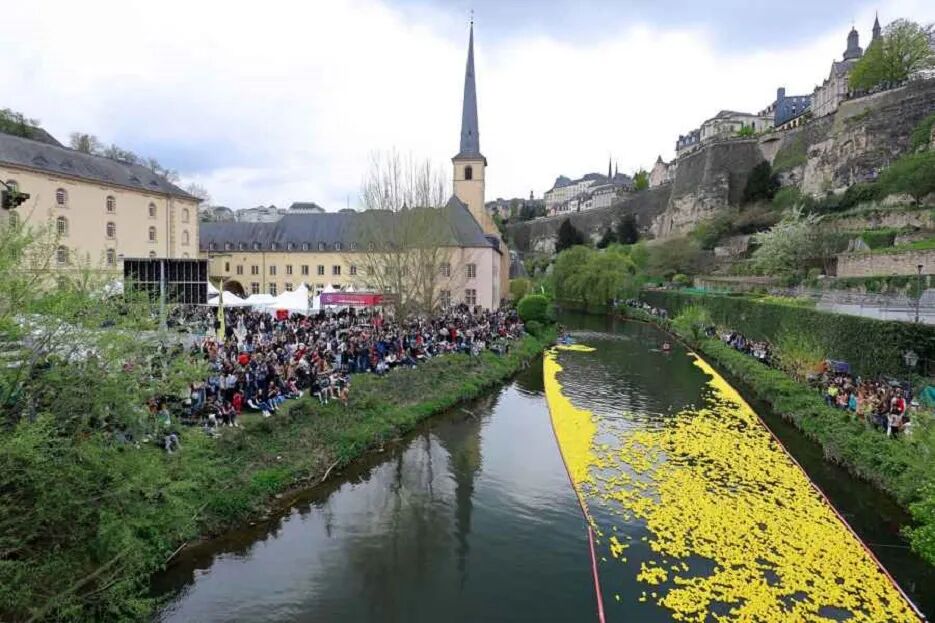 Duck Race 2025