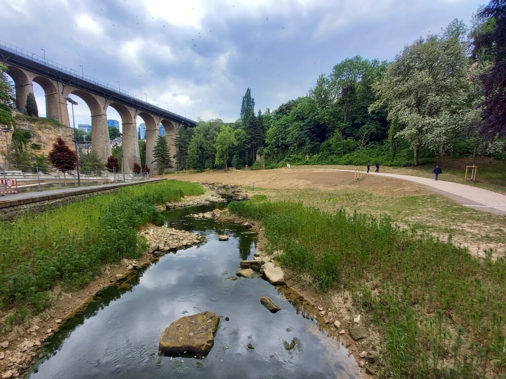 Renaturation of the Watercourse 'Pétrusse'