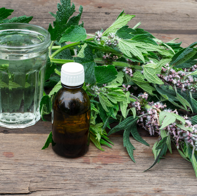 Luxembourg's Medicinal Plants