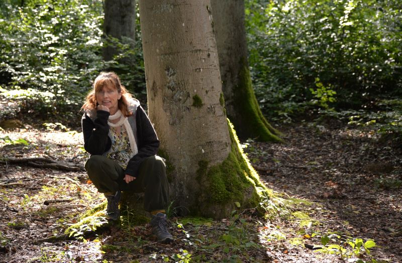 Tree Tales
