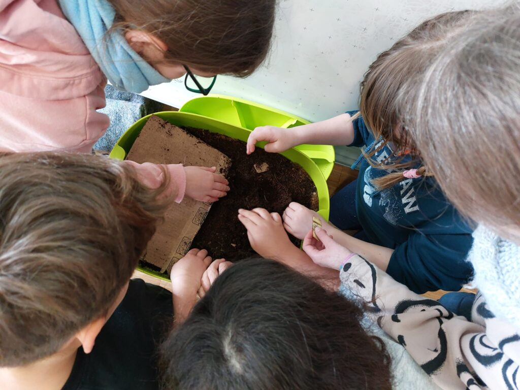 Turning Waste into Gold: The Power of Vermicompost for Kids