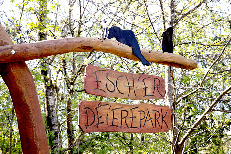 Visite : Escher Déierpark – Gaalgebierg (LU)