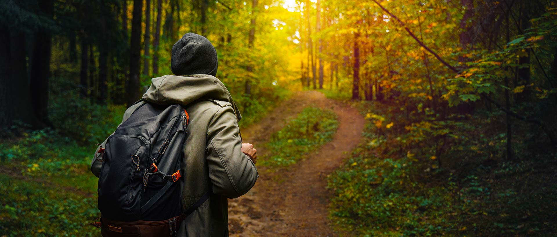 Fascination Forest: Interactive Sensory Experiences for Your Next Forest Visit