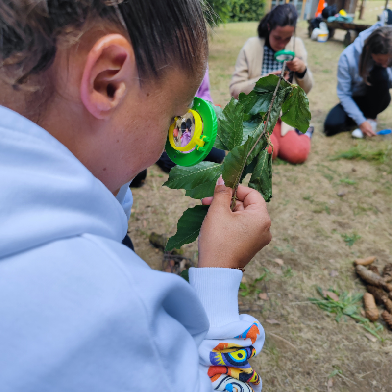 Hear, Look, Smell, Touch – Sensory Activities in the Forest