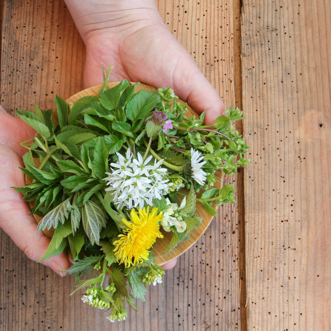 Wild Herb Workshop