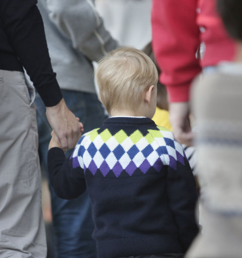 Loopino and the Dream of the Stars