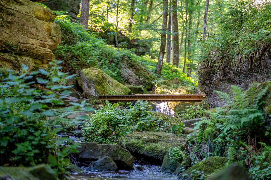 Guided hike: Geo-Pad Haupeschbaach and Halerbaach