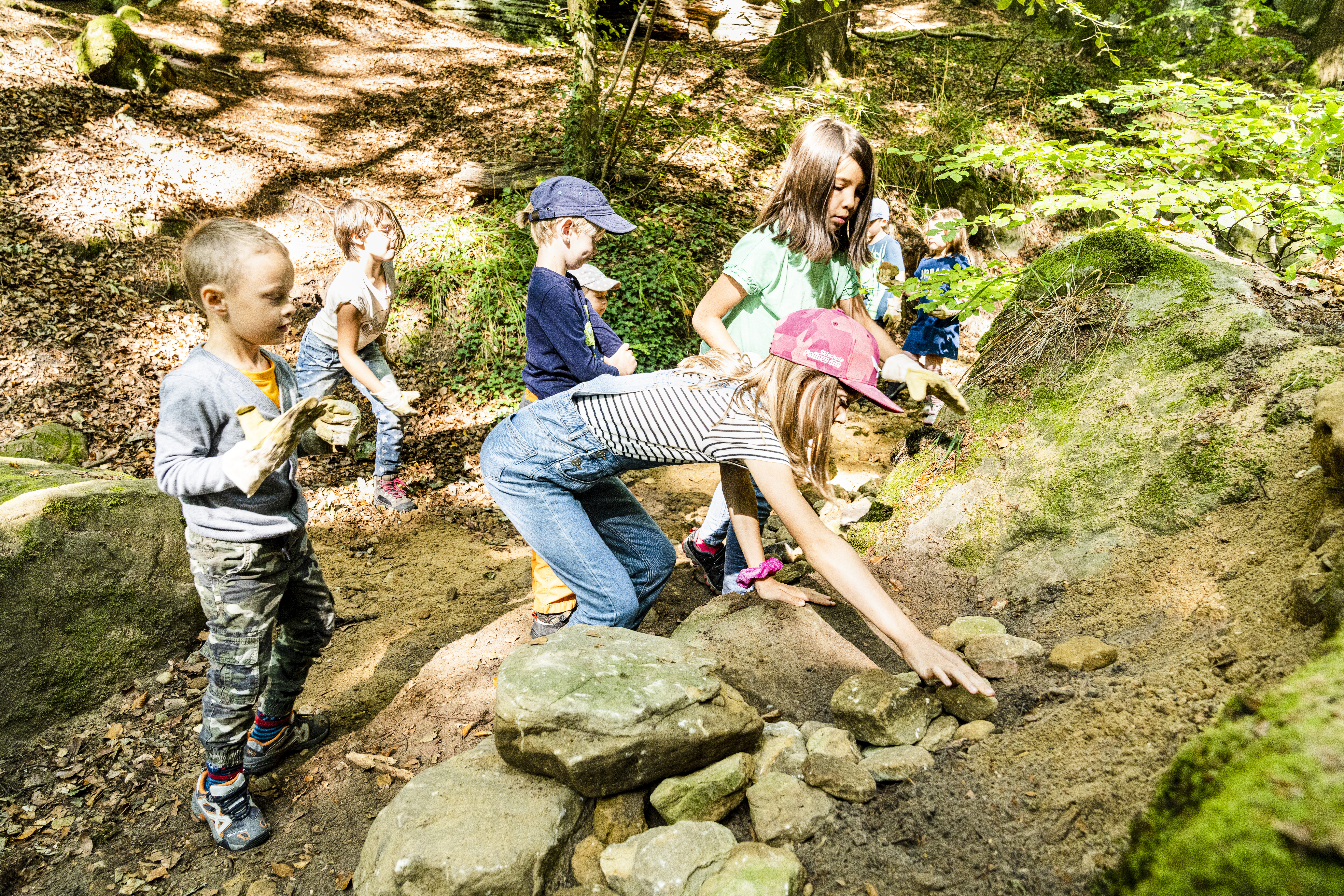 For Children: Nature Rally