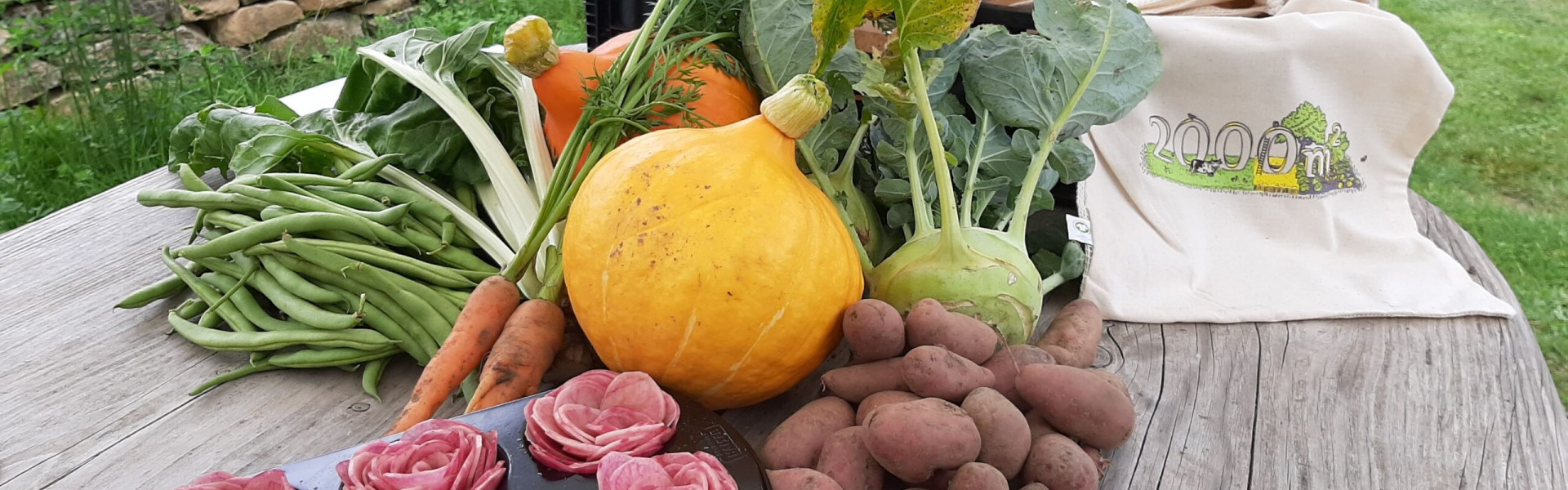 Atelier de cuisine : Votre diner dans un parterre surélevé !