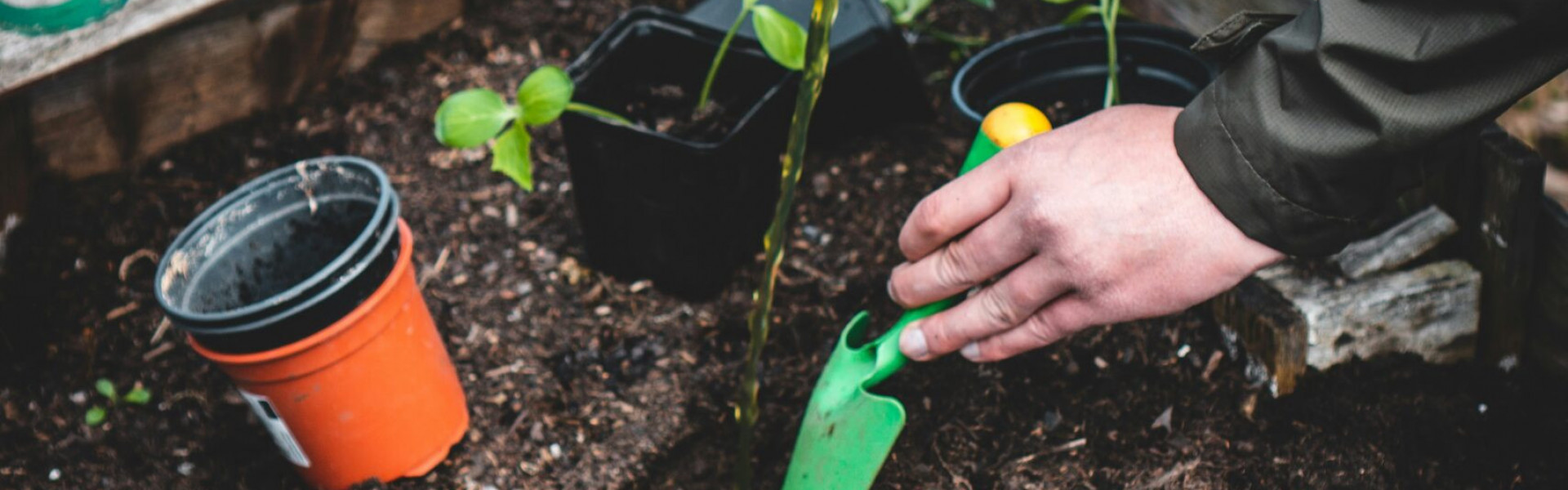 Workshop: Mini Aromatic Garden