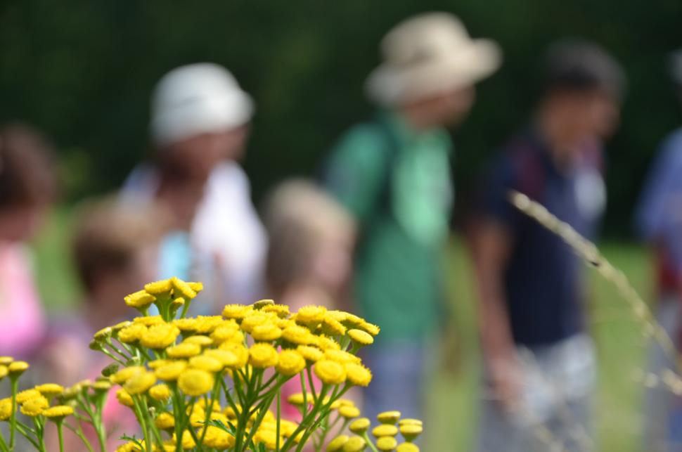 Guided walk along the Eisch