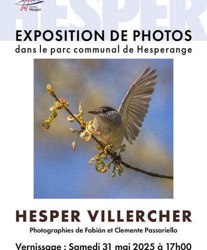 Opening of the exhibition "Hesper Villercher"