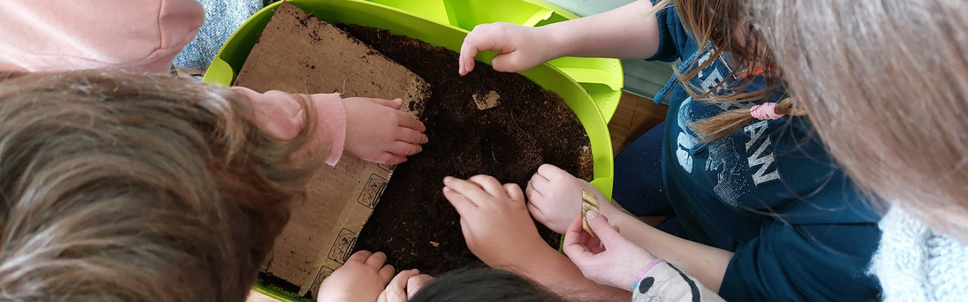 Introduction to Vermicomposting for Kids
