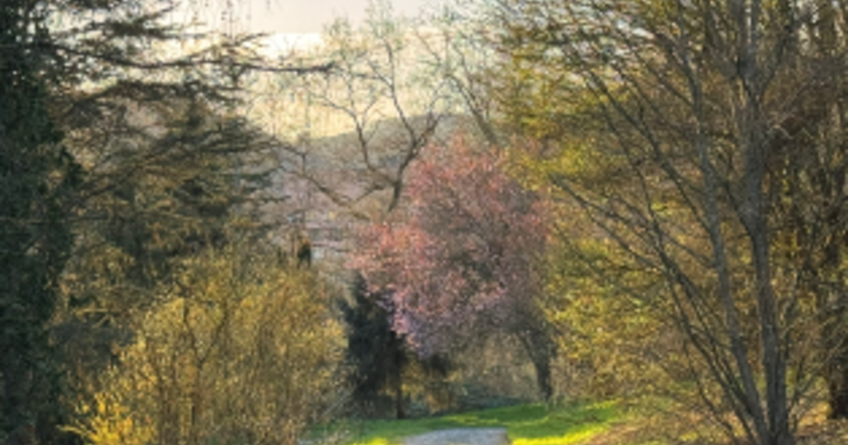 Opening of LTEtt Arboretum