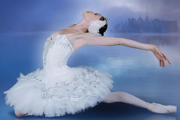 Le Lac des Cygnes