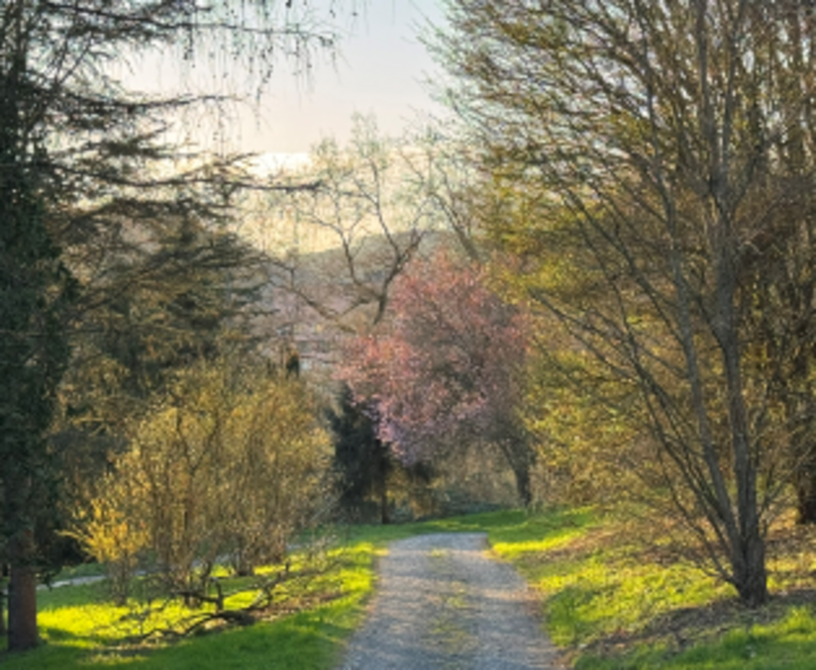 Opening of LTEtt Arboretum