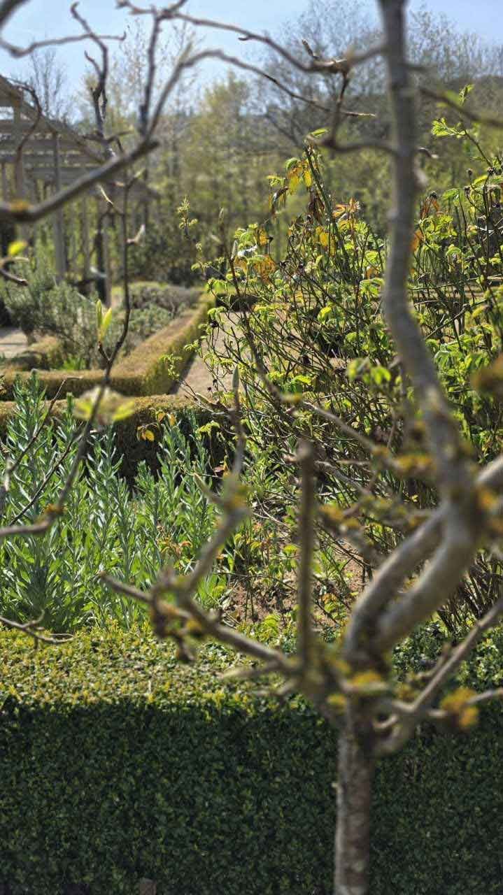 Le jardin romain