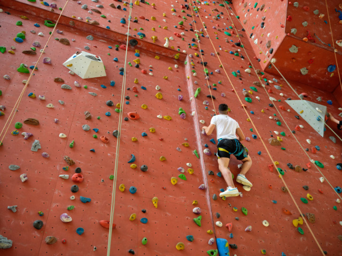 Cours d'escalade Koala-Kids - Aventure et plaisir pour les 9-12 ans débutants et avancés !