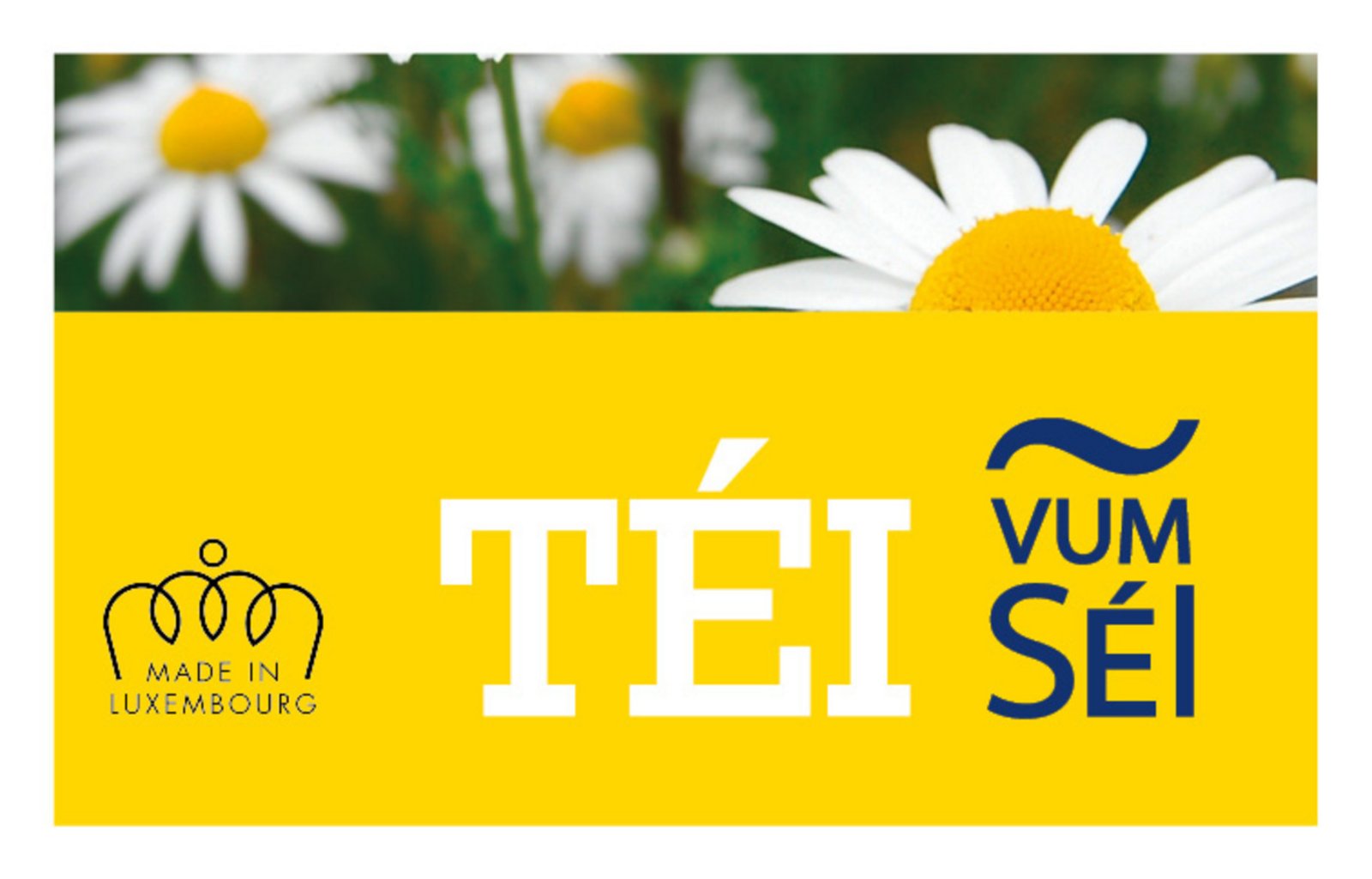 Guided visit of the Téi vum Séi crop demonstration in Ettelbruck