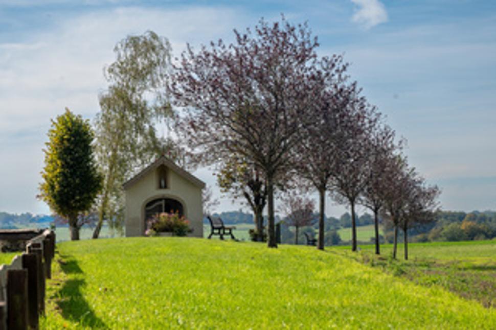 Guided tour of the village of Guirsch