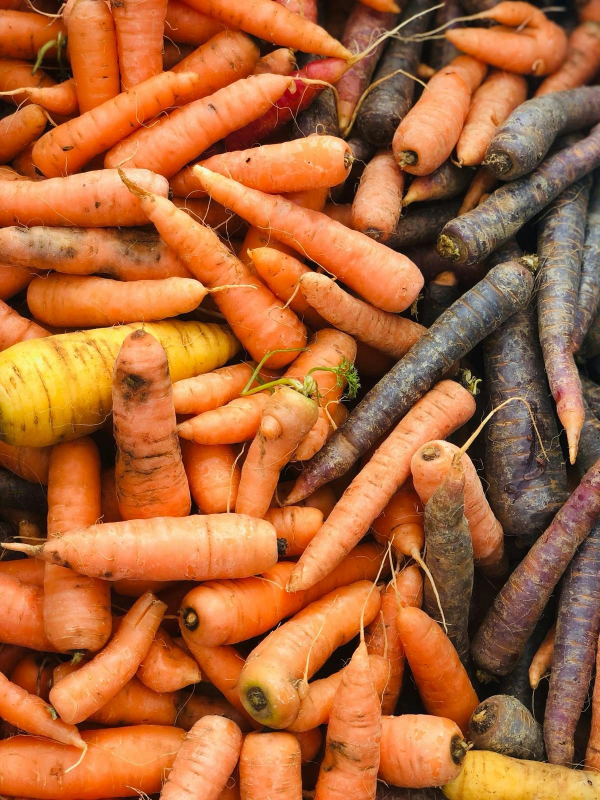 Soil & Soul Sundays // Spécial Marché des Racines et Sérigraphie naturelle