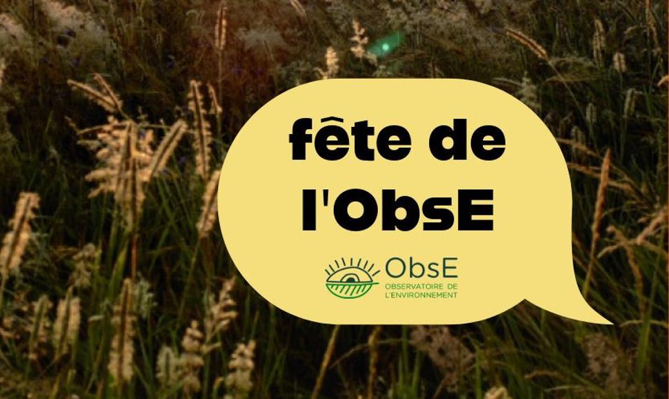 ObsE Event at Heinsch Marsh
