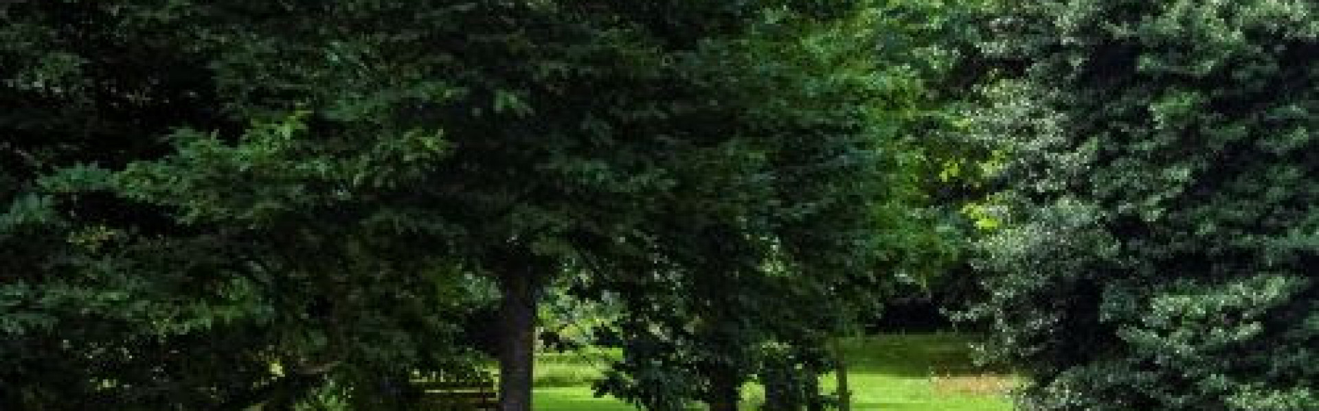 Tour des parcs : au cœur du parc municipal
