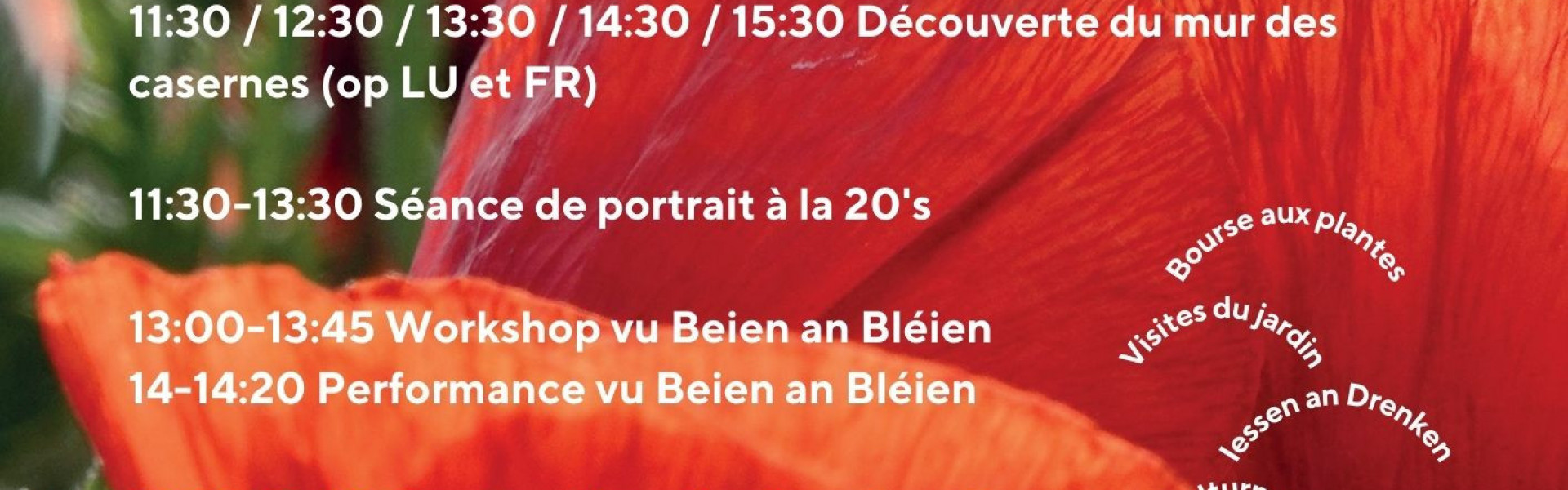 Construction d’un bac de culture