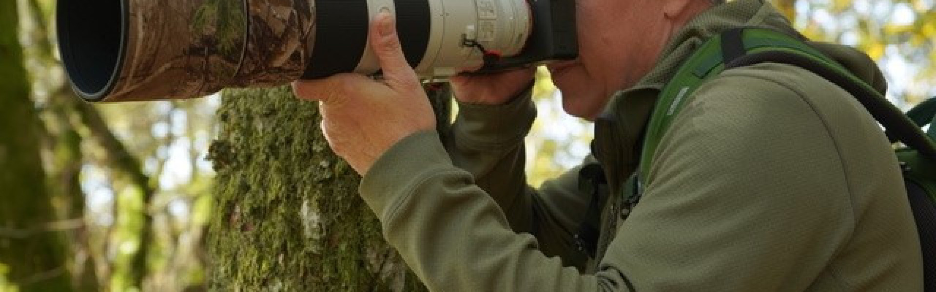 Bird Photography Workshop