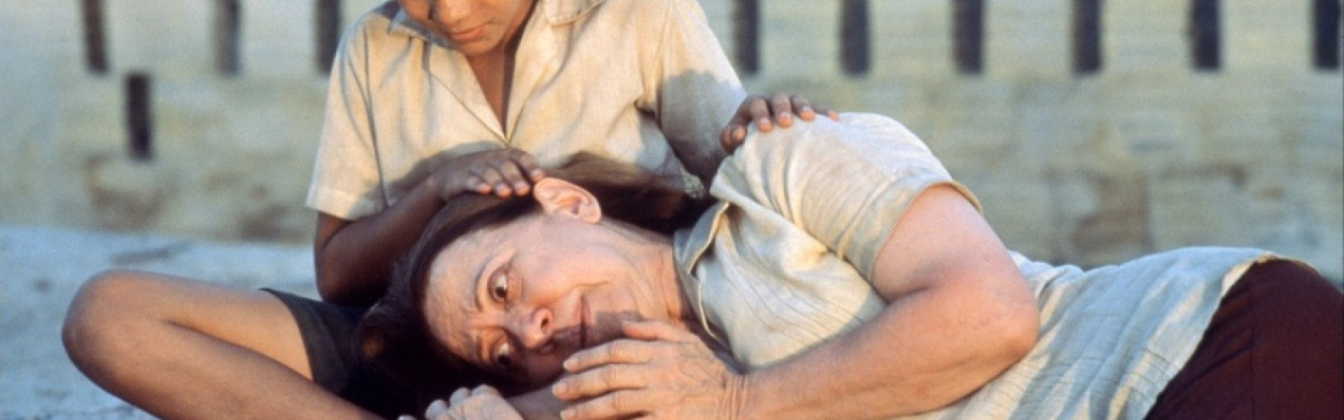 Central do Brasil (Walter Salles Retrospective)